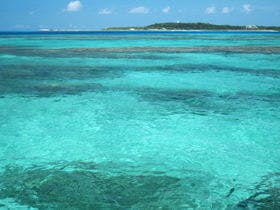 ティンヌカーラ