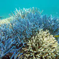 透き通った美しい海