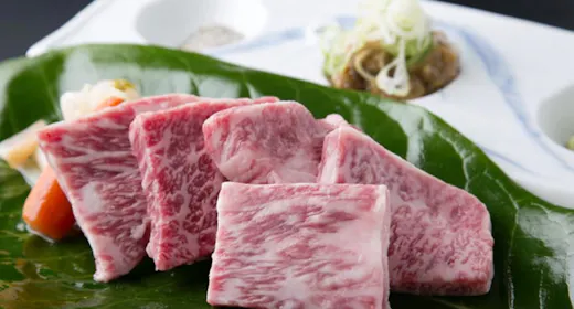 【ぎふ旅 飛騨牛】うまっ!!飛騨牛!奥飛騨スペシャルプラン