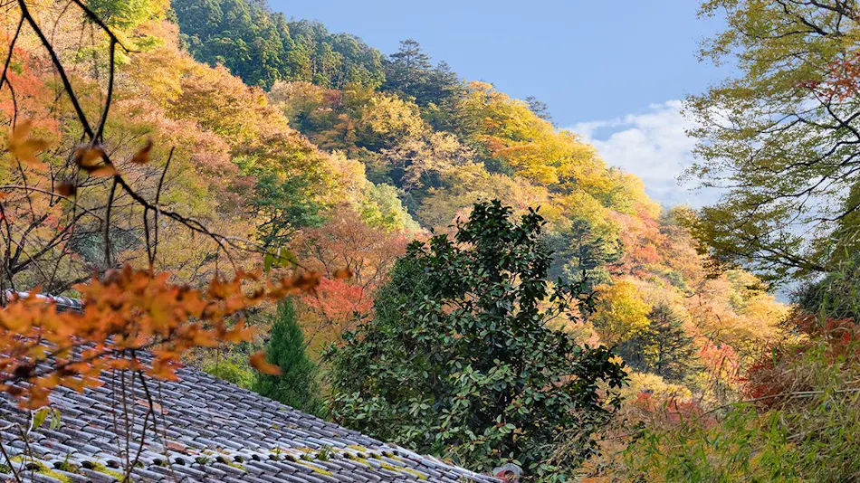 Ryokan Hirobun
