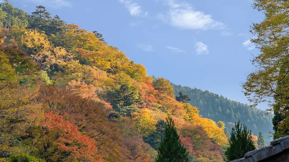 Ryokan Hirobun