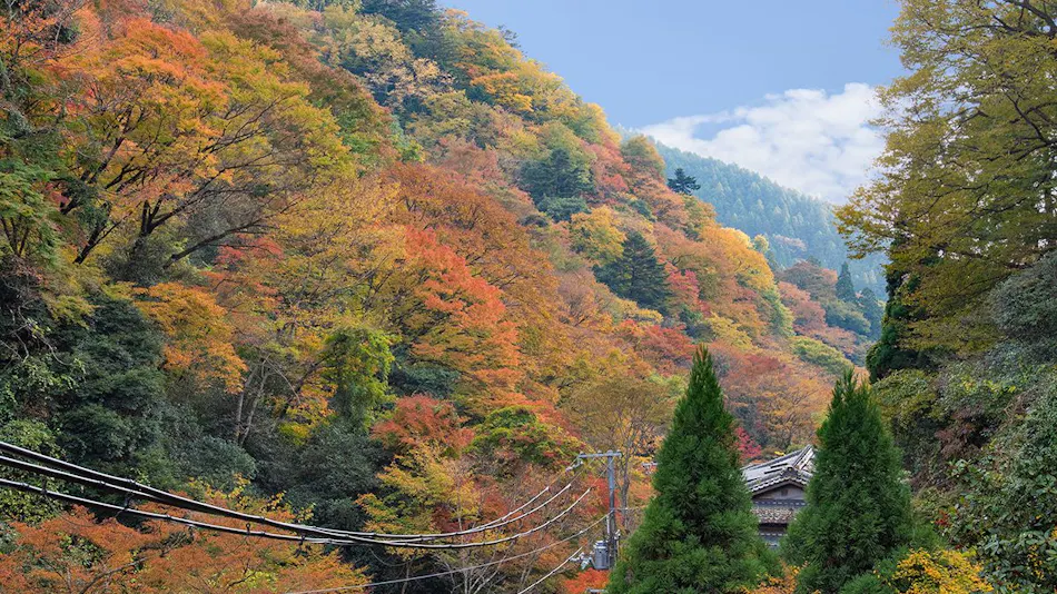 Ryokan Hirobun