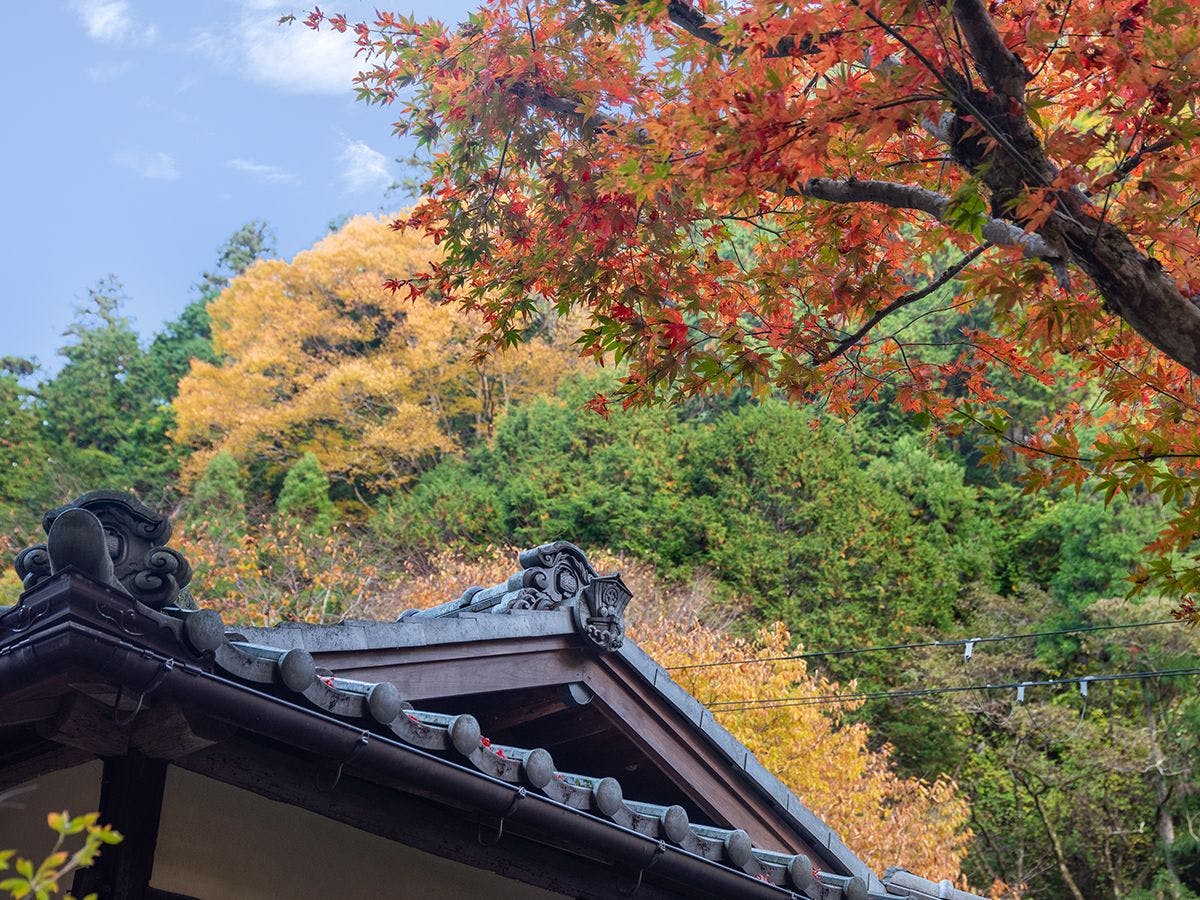 料理旅館　ひろ文