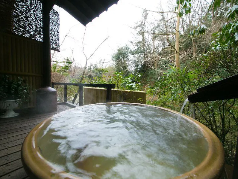 厚木飯山温泉 元湯旅館 の空室状況を確認する 宿泊予約は 一休 Com 厚木飯山温泉 元湯旅館 の空室状況を確認する 宿泊予約は 一休 Com