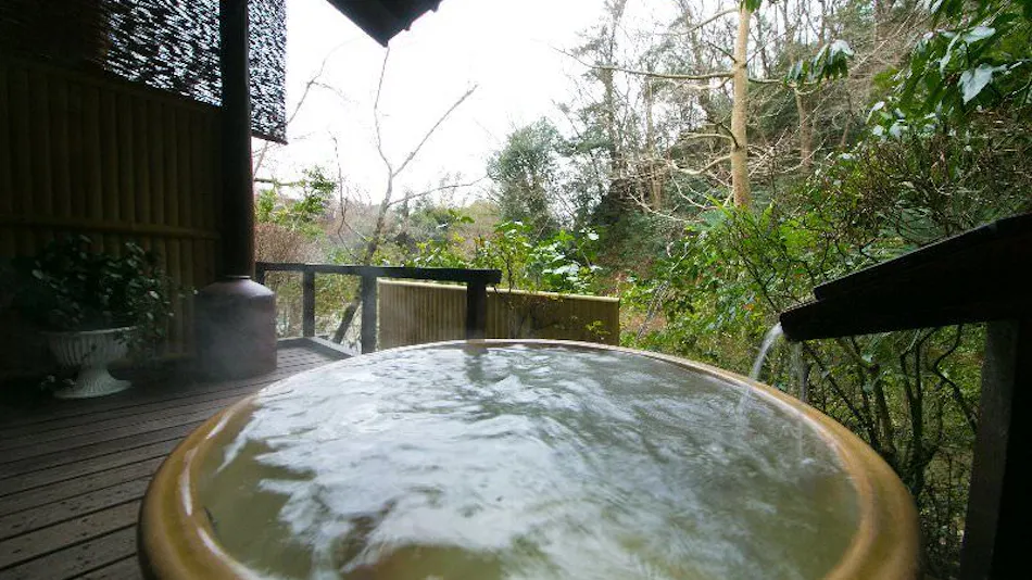 Atsugi Iiyama Onsen Motoyu Ryokan