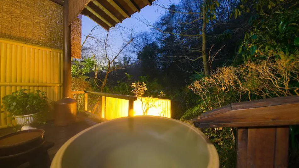 Atsugi Iiyama Onsen Motoyu Ryokan