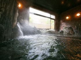 厚木飯山温泉 元湯旅館 1枚目