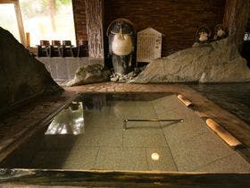 厚木飯山温泉 元湯旅館 2枚目