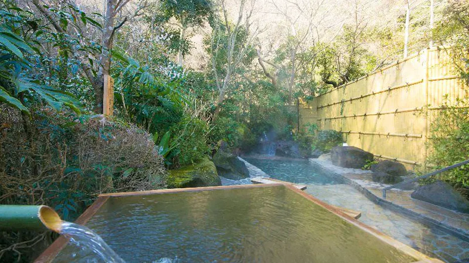 Atsugi Iiyama Onsen Motoyu Ryokan