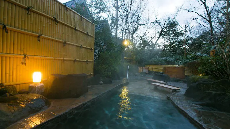 Atsugi Iiyama Onsen Motoyu Ryokan