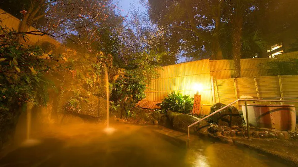 Atsugi Iiyama Onsen Motoyu Ryokan