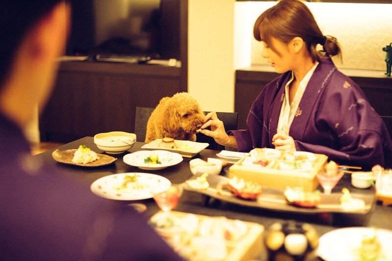 Pet-Friendly Accommodation D+KIRISHIMA