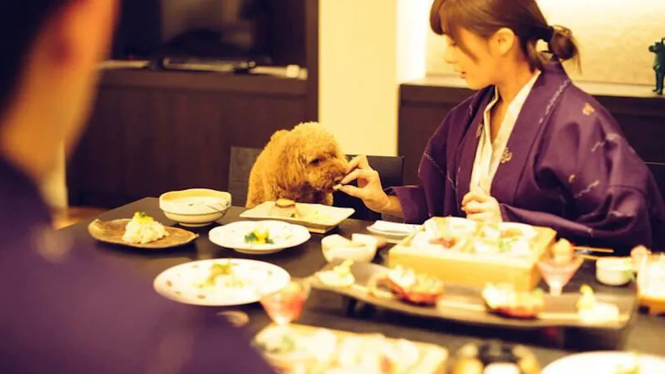 Pet-Friendly Accommodation D+KIRISHIMA