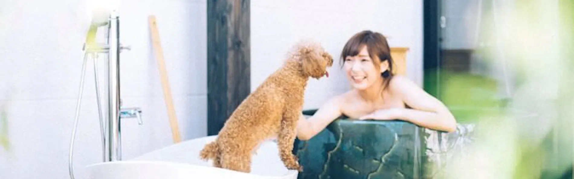 愛犬と泊まれる宿 D+KIRISHIMA