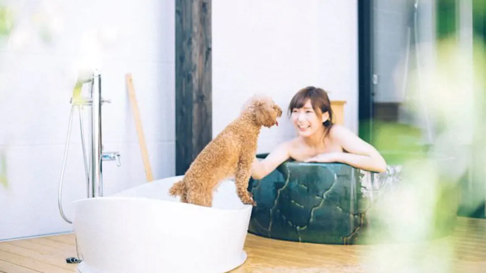 Pet-Friendly Accommodation D+KIRISHIMA