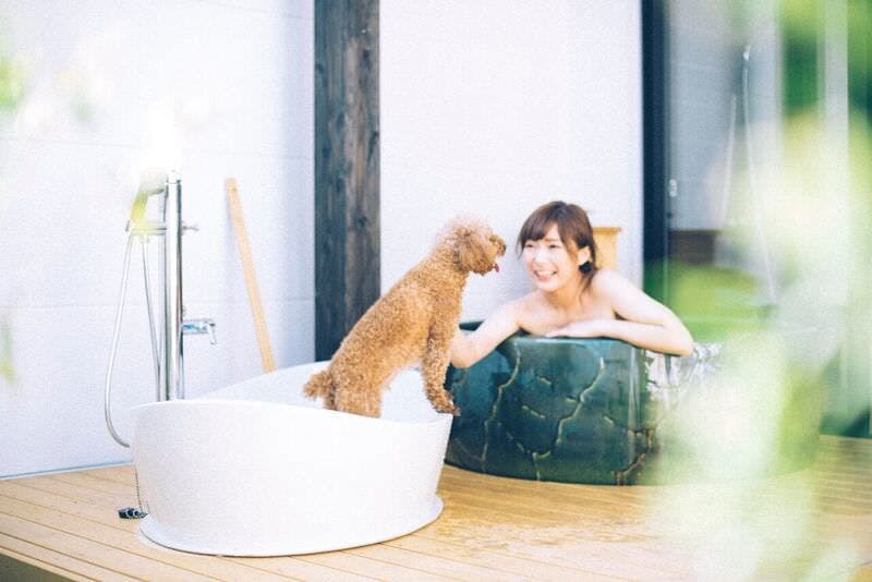 愛犬と泊まれる宿 D+KIRISHIMA