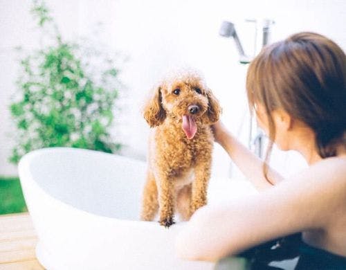 一室ずつ開放的な専用露天風呂完備