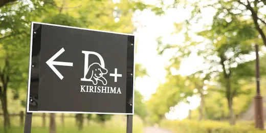 愛犬と泊まれる宿 D+KIRISHIMA