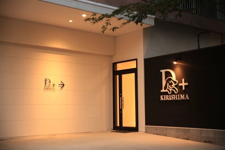 愛犬と泊まれる宿 D+KIRISHIMA