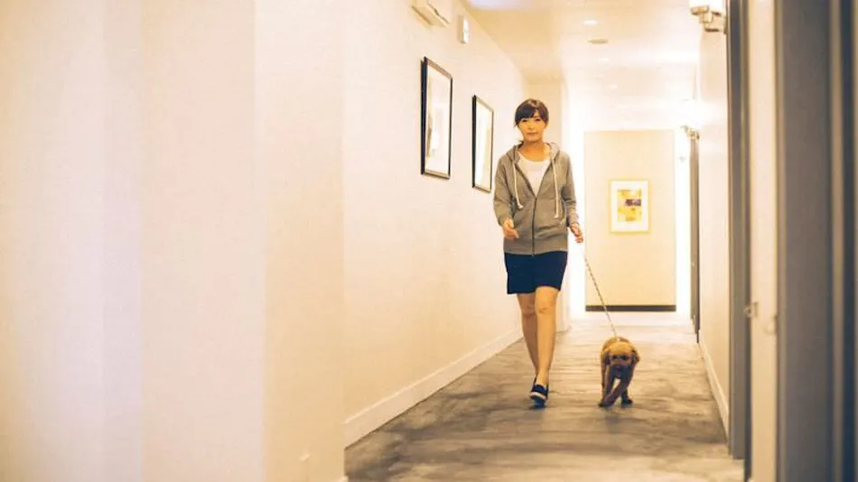 Pet-Friendly Accommodation D+KIRISHIMA
