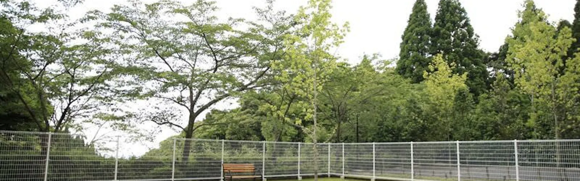 愛犬と泊まれる宿 D+KIRISHIMA