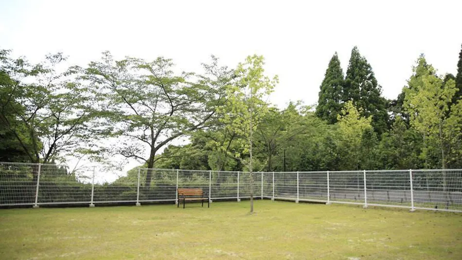 Pet-Friendly Accommodation D+KIRISHIMA