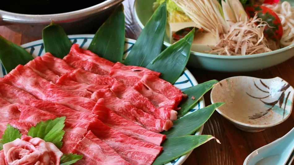 Ukawa Onsen Yoshino no Sato