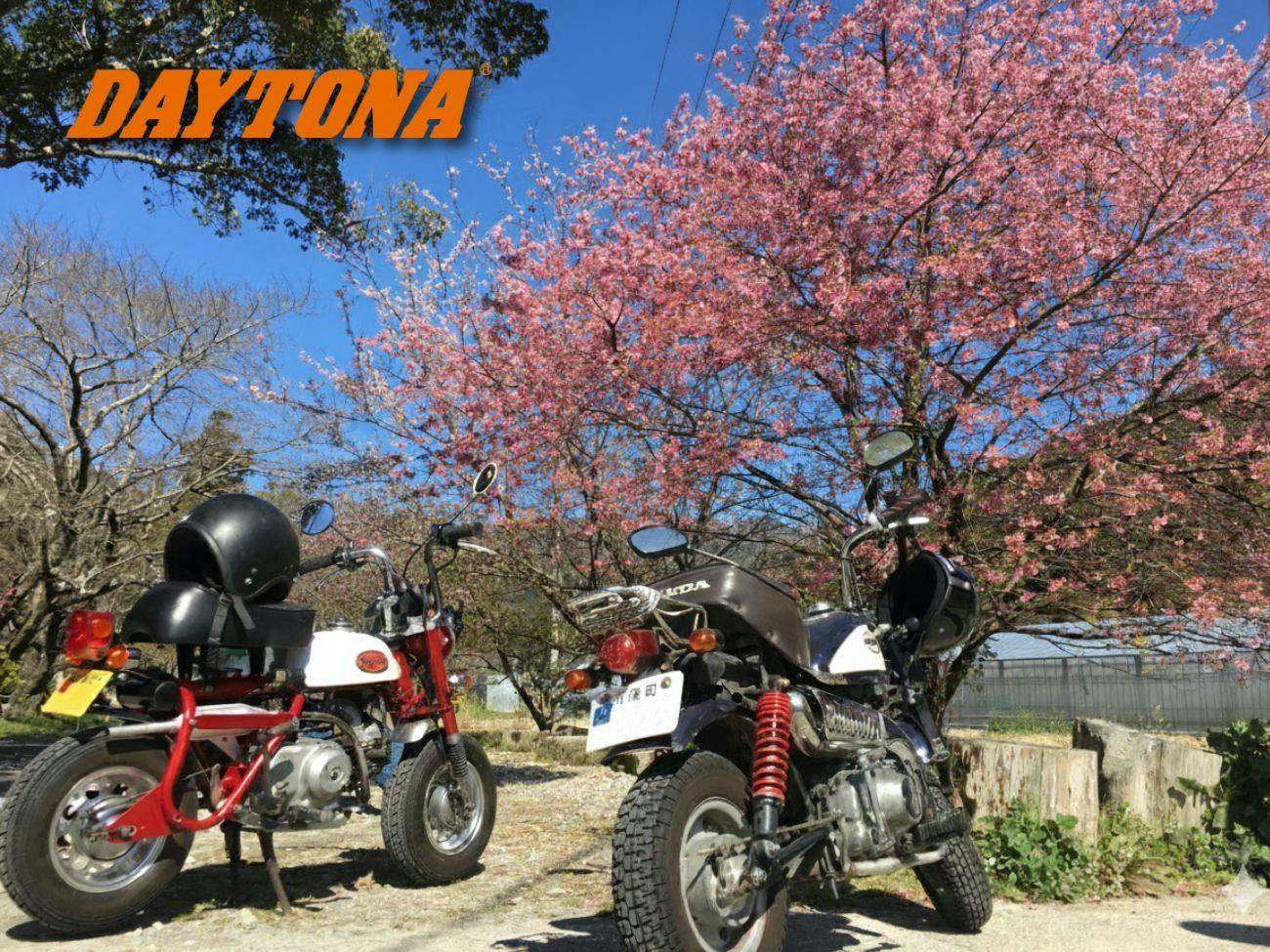 【ツーリングプラン｜デイトナコラボ】バイカー向け無料貸出品をご用意！朝夕お部屋食の2食付プラン