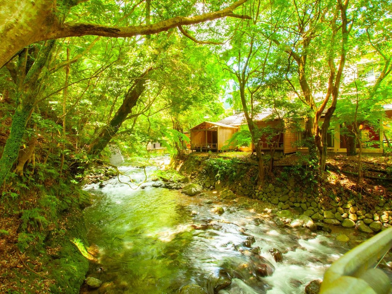 渓流が流れる大自然をお楽しみください