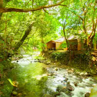 渓流が流れる大自然をお楽しみください