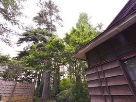 強首温泉樅峰苑 1枚目
