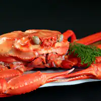 【ฤดูใบไม้ผลิ–ฤดูใบไม้ร่วง】ปูเบนิซุไว (ปูหิมะสีแดง)