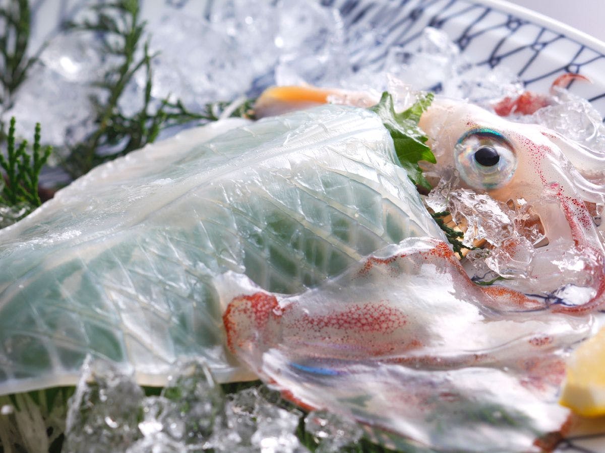 【夏料理別注】活イカ