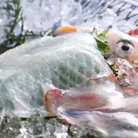 【เมนูพิเศษฤดูร้อน】ปลาหมึกสด