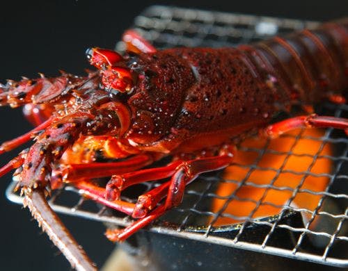 伊勢海老姿焼き
