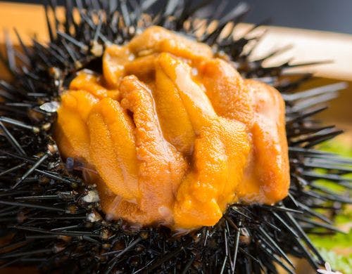 【夏の三大味覚膳】赤ウニ