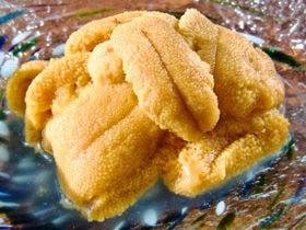 お宿 鱗晃荘～りんこうそう～