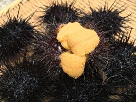 お宿 鱗晃荘～りんこうそう～