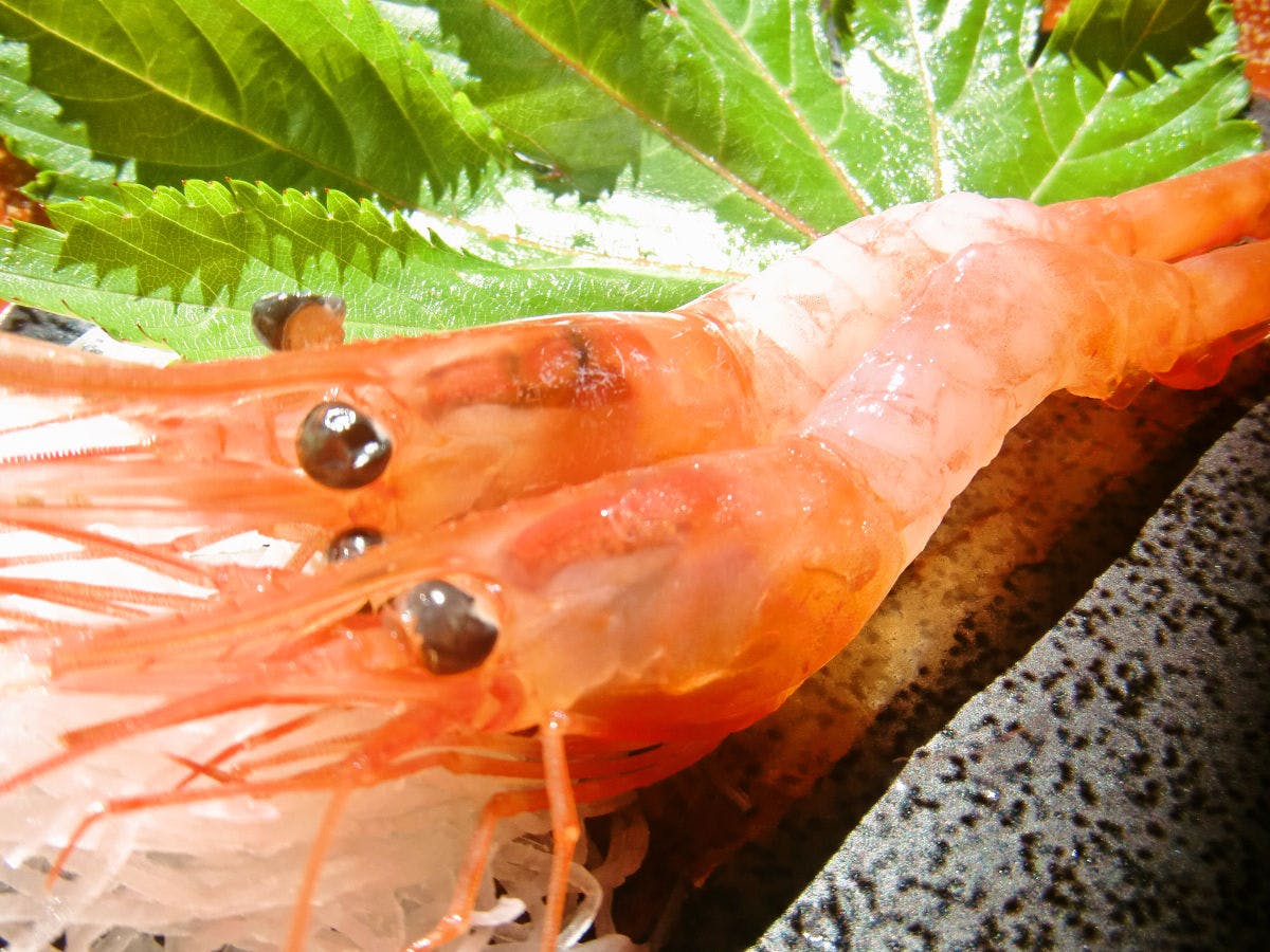 お宿　鱗晃荘