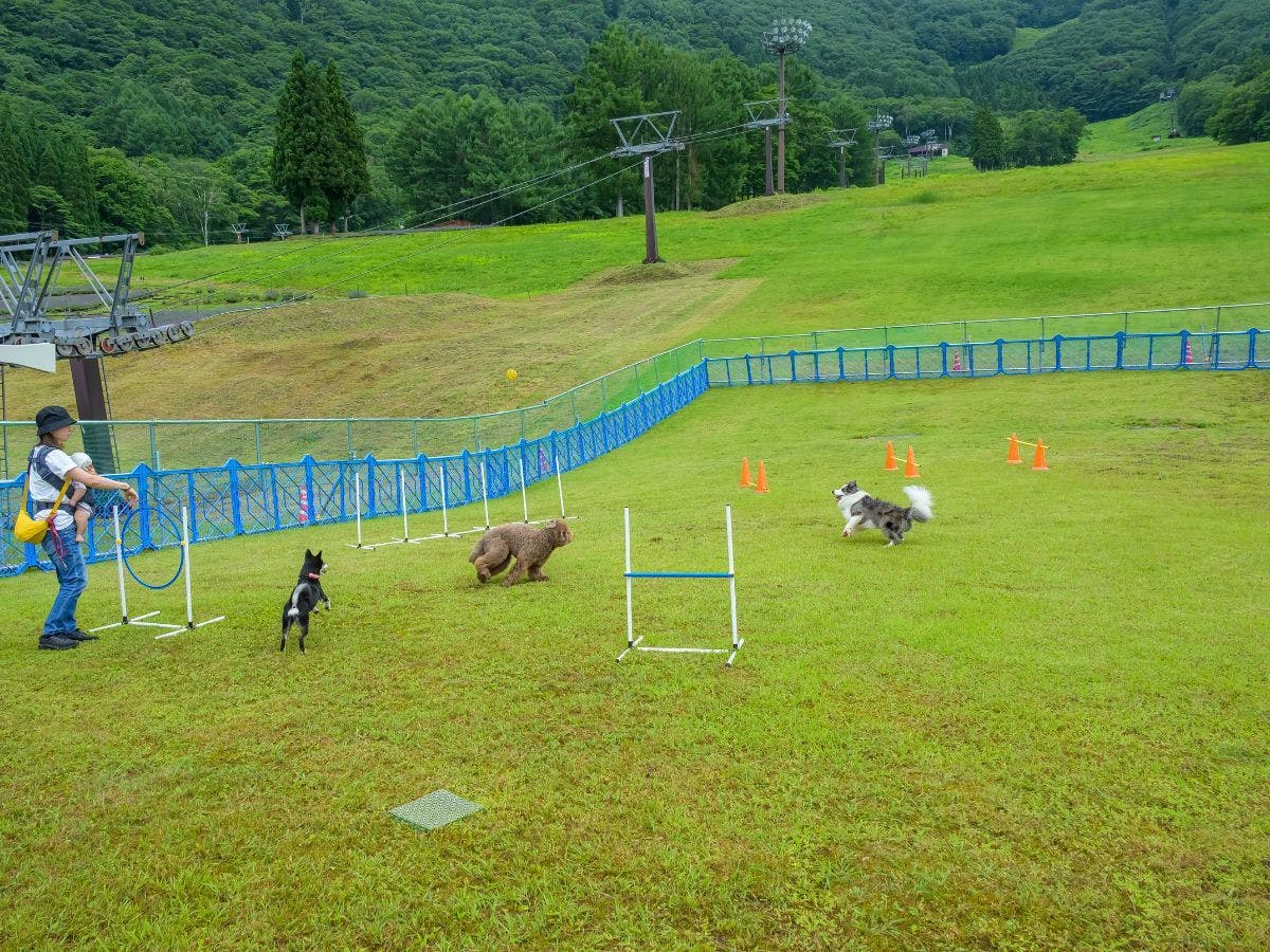 斑尾東急リゾート　ホテルタングラム