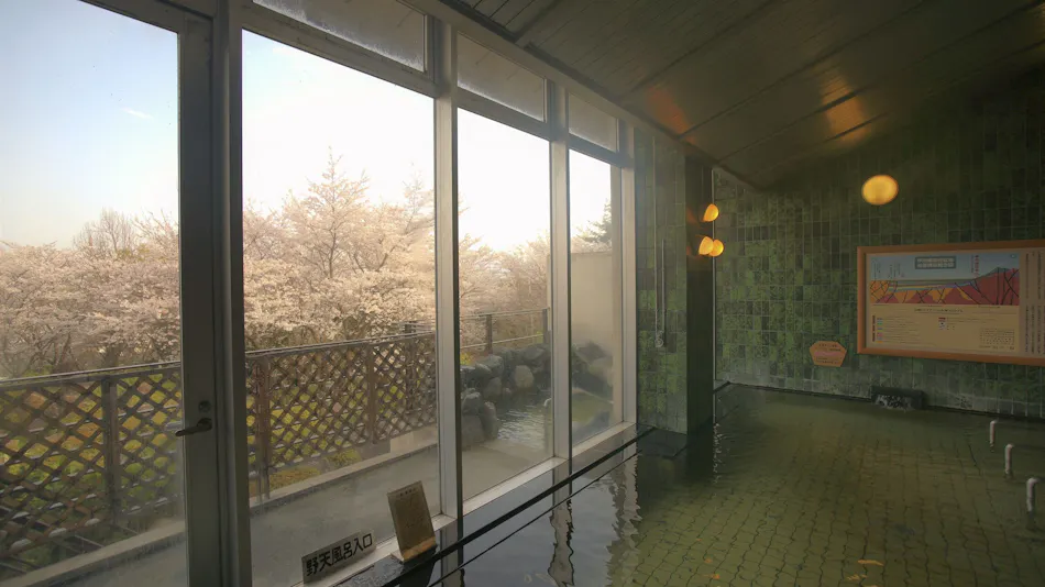 Hotel Kami no Yu Onsen