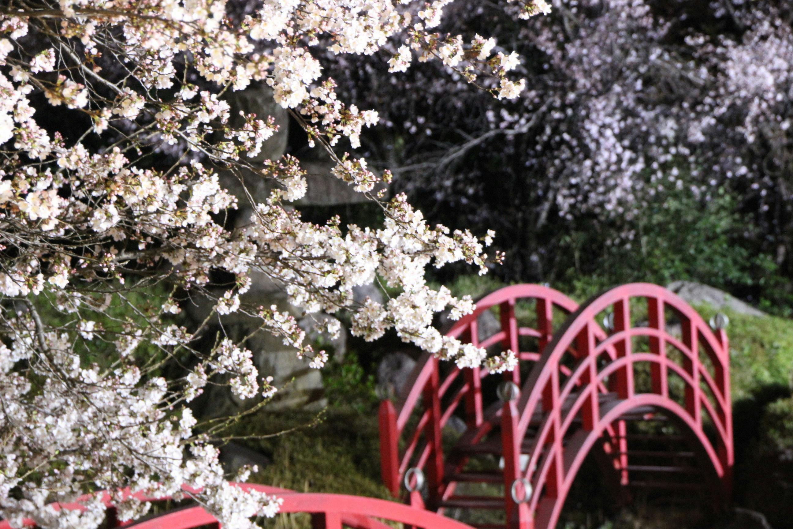 ホテル神の湯温泉