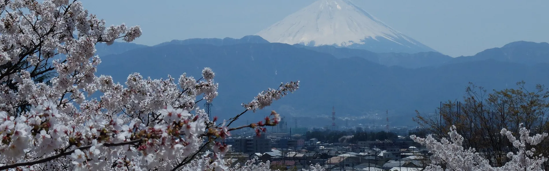 ホテル神の湯温泉