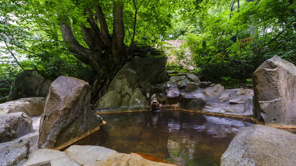 Otari Onsen Okunoyu Amakazari-so