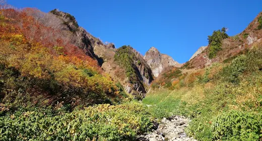 【雨飾山登山応援プラン】登山弁当・送迎・温泉付きで安心の山旅