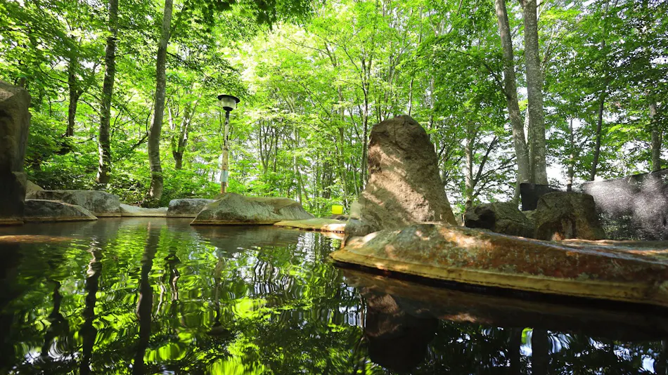 Otari Onsen Okunoyu Amakazari-so