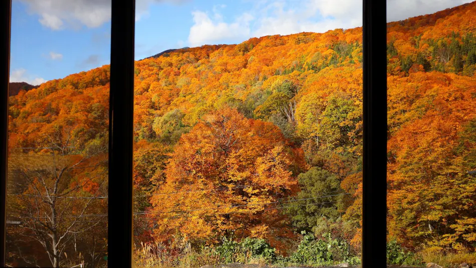 Otari Onsen Okunoyu Amakazari-so