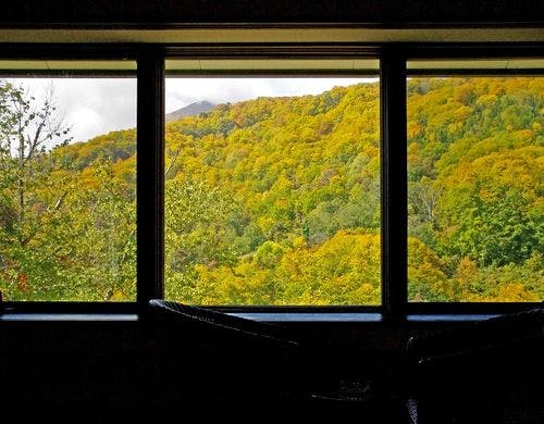 窓から眺める紅葉は1枚の絵画のよう