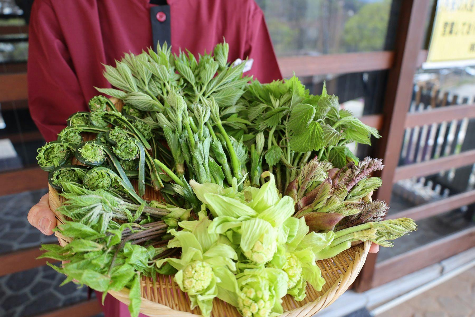 小谷温泉奥の湯　雨飾荘