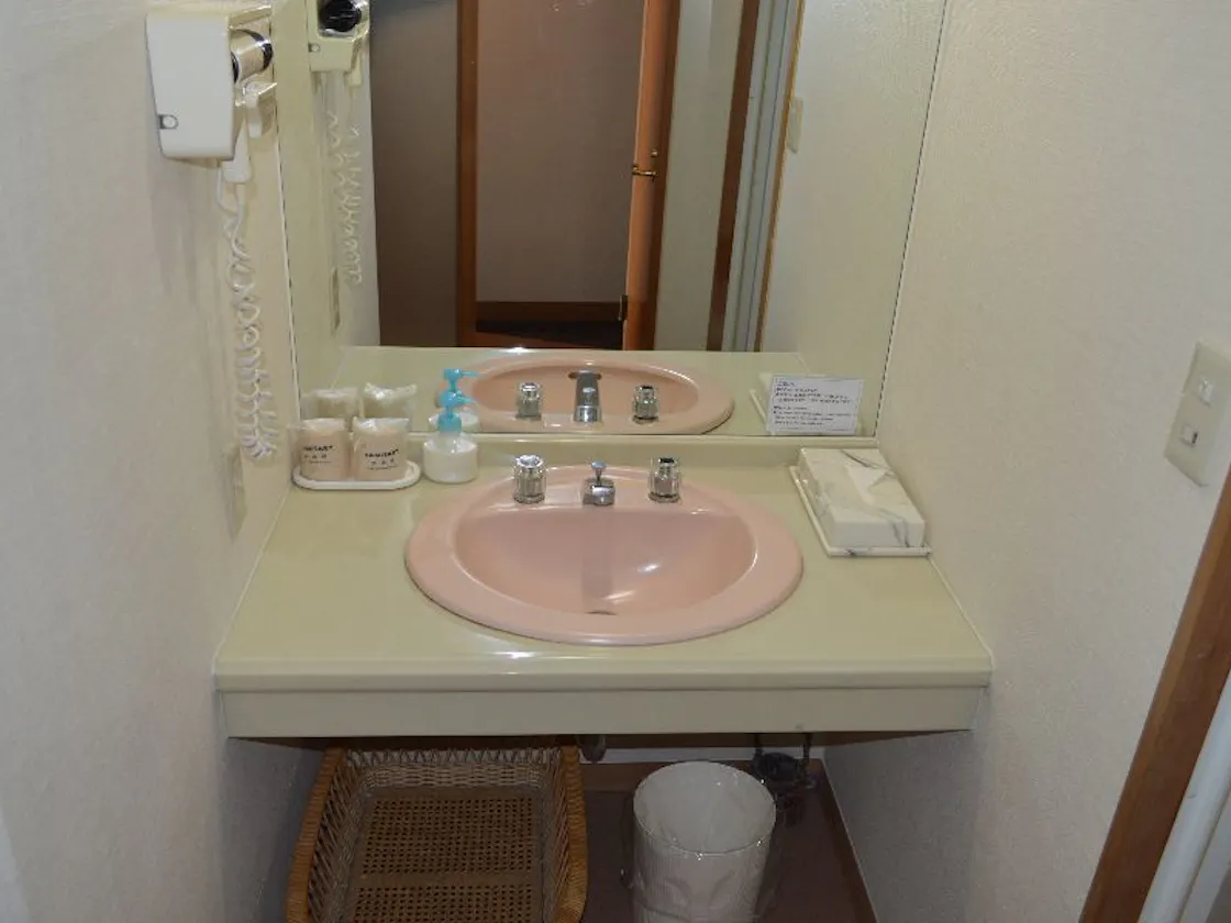 客室洗面所の一例です